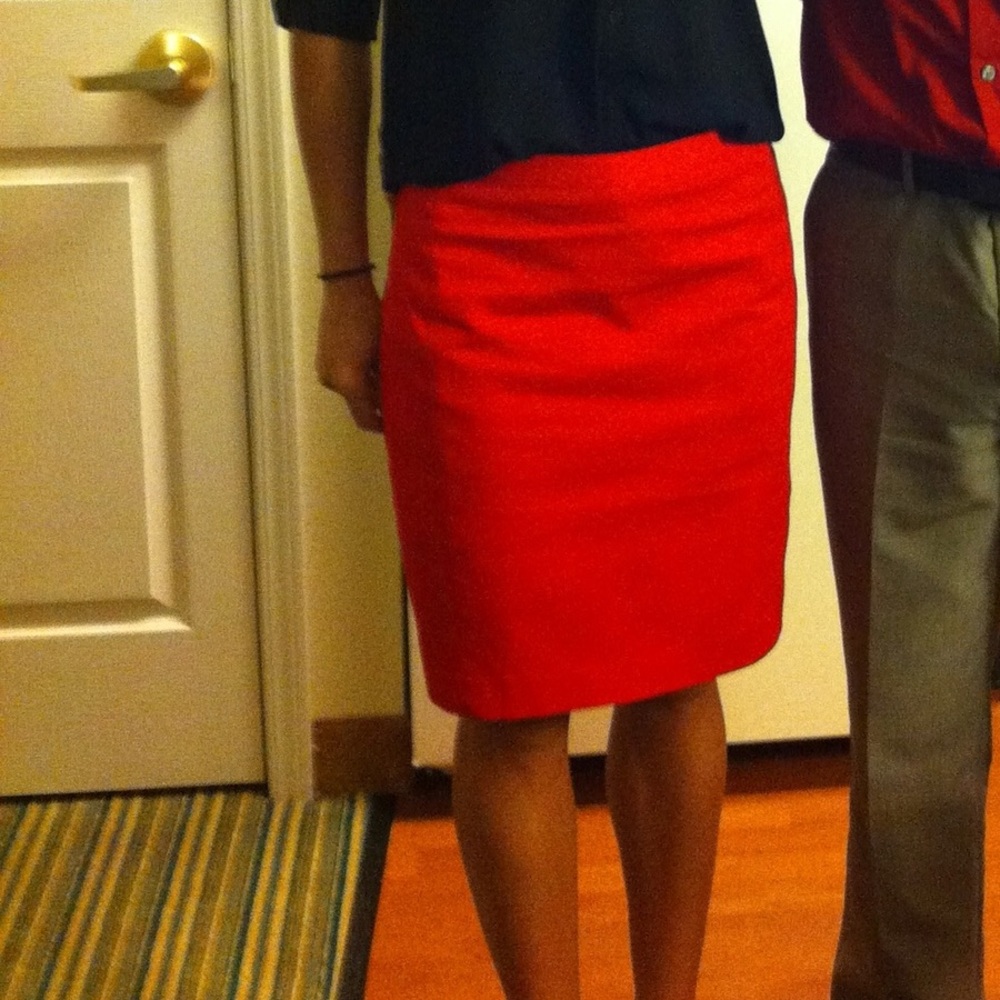 Express Skirt
